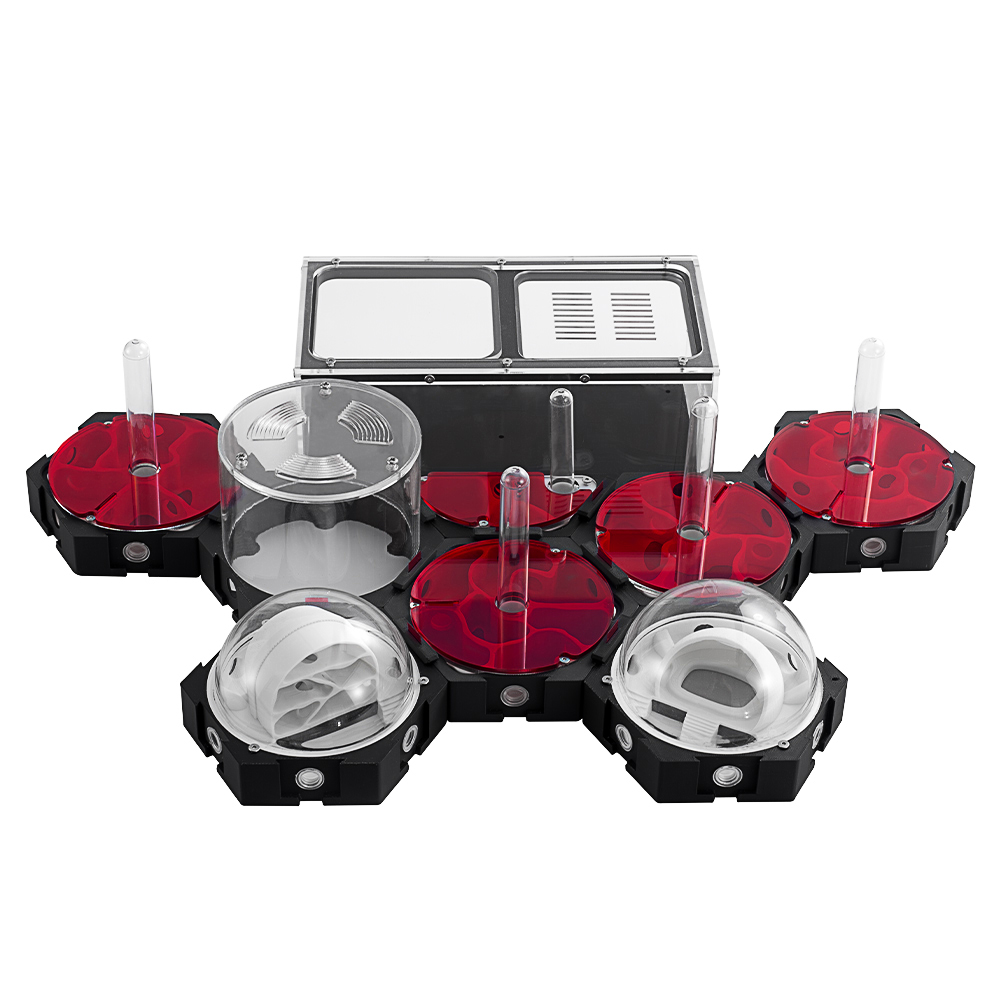 3D Printing Ant Farm Infinitel - đánh giá và giá Begonia Rex