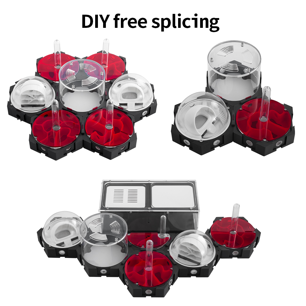 3D Printing Ant Farm Infinitel - đánh giá và giá Begonia Rex