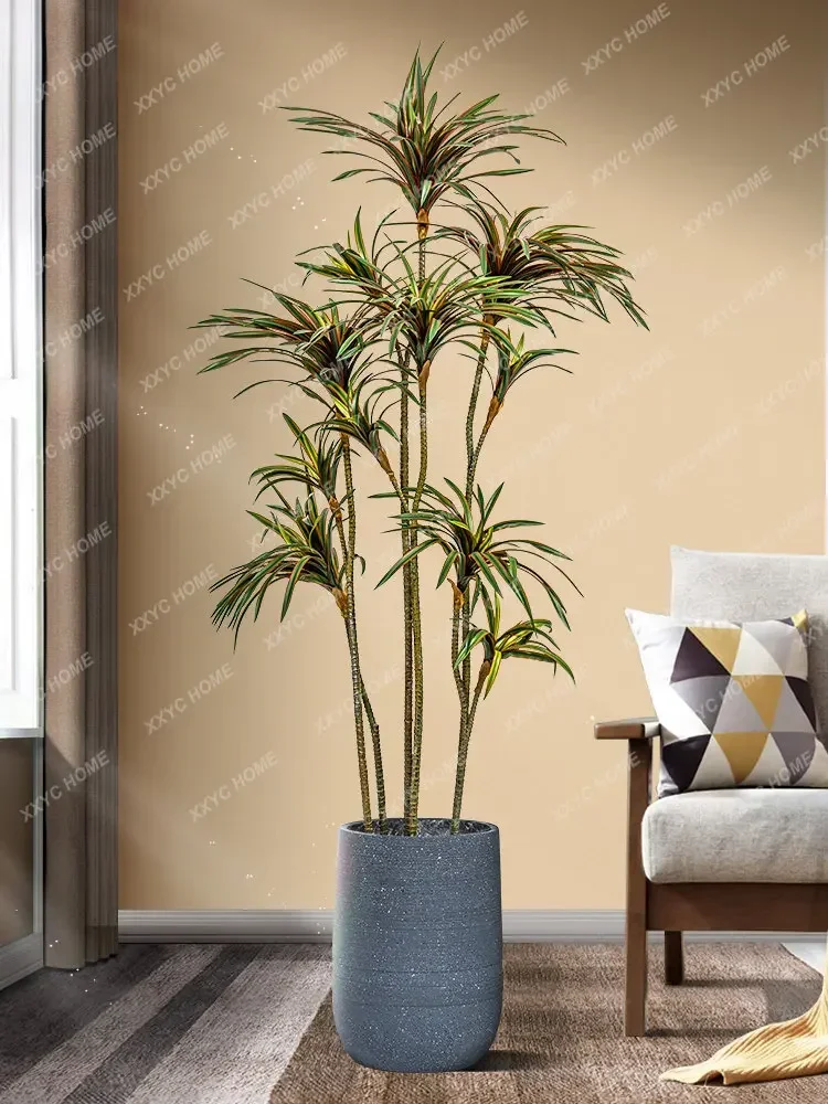 Simulation Dracaena Dracaena M - đánh giá và giá Dracaena Marginata