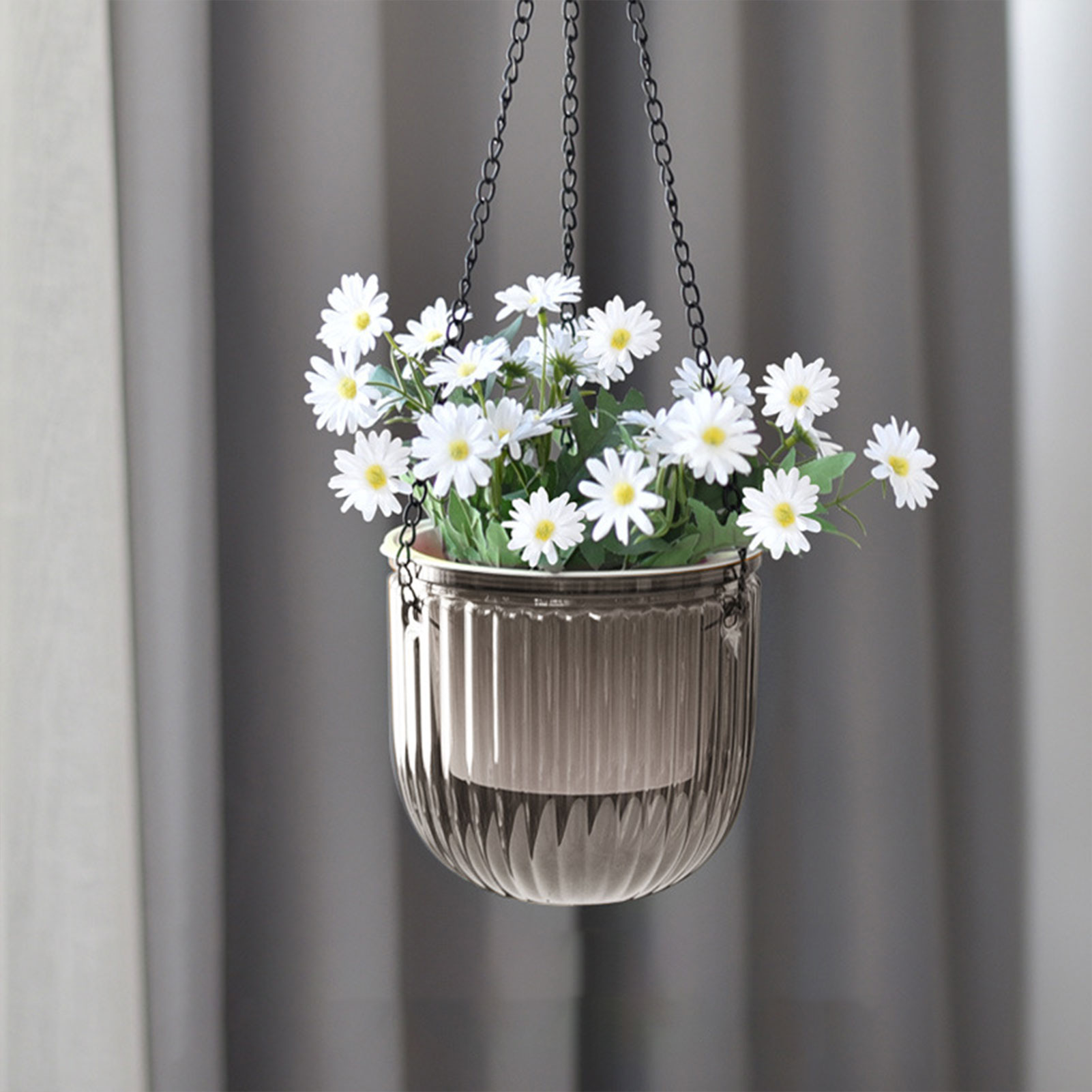 Automatic Self Watering Plant  - đánh giá và giá Spider Plant Hanging