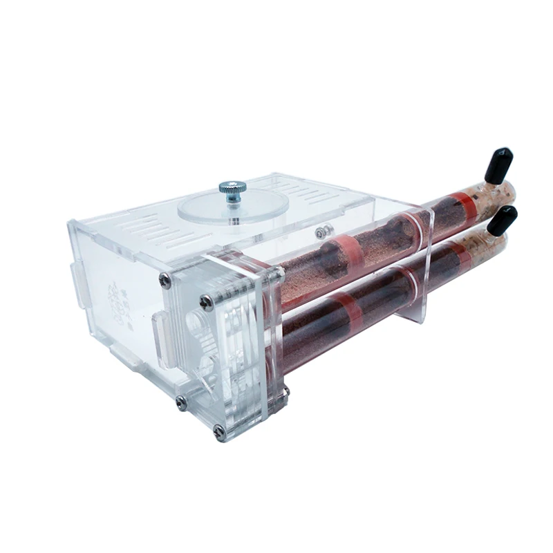 DIY Ant Farm 2 pcs 18-180mm Gy - đánh giá và giá Begonia Rex