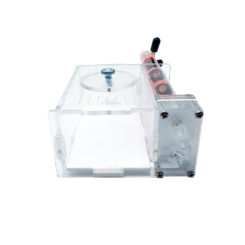 DIY Ant Farm 2 pcs 18-180mm Gy - đánh giá và giá Begonia Rex