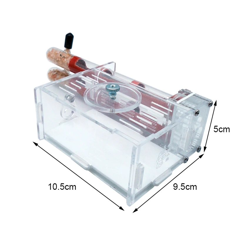 DIY Ant Farm 2 pcs 18-180mm Gy - đánh giá và giá Begonia Rex