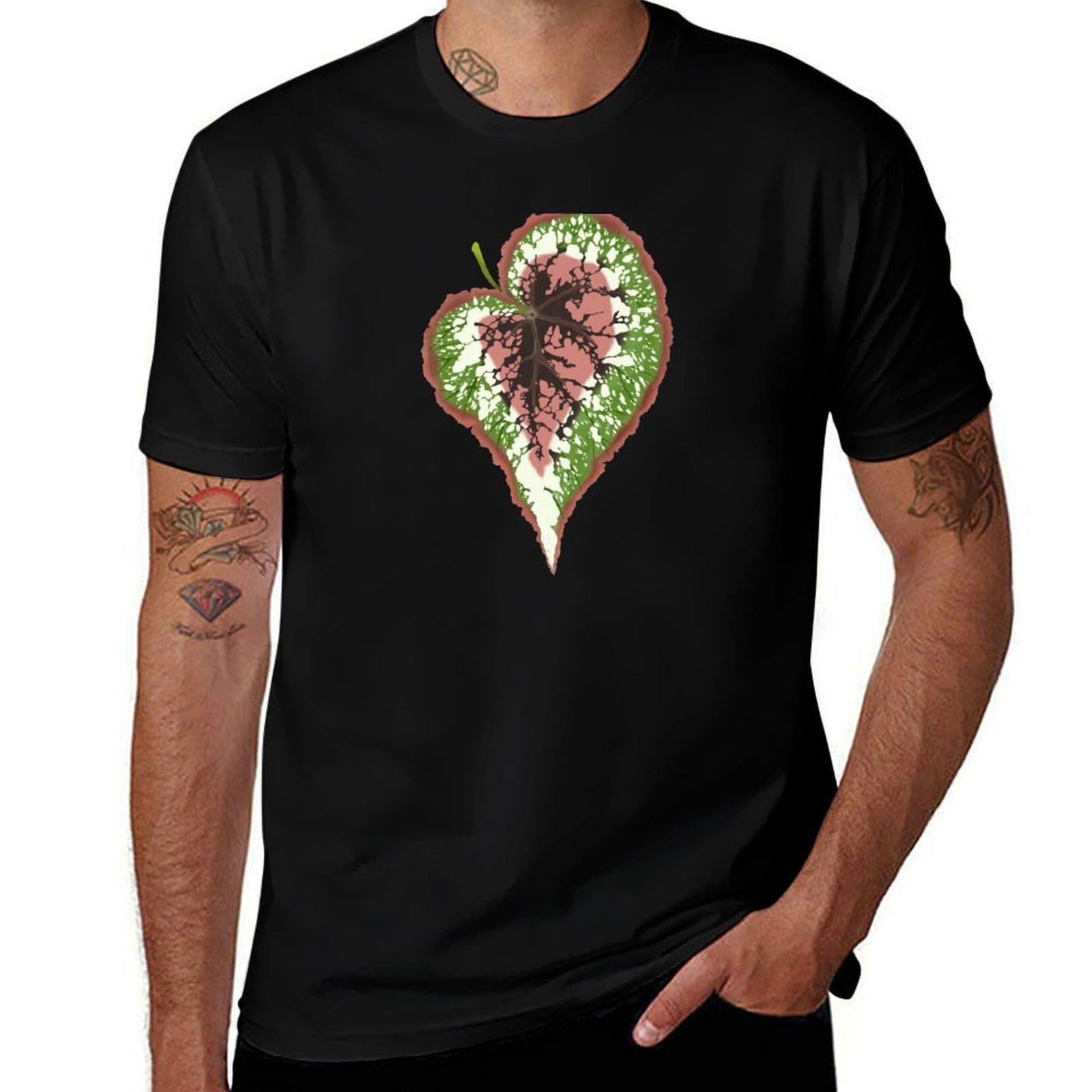 Begonia Rex T-Shirt Basic Simp - đánh giá và giá Begonia Rex