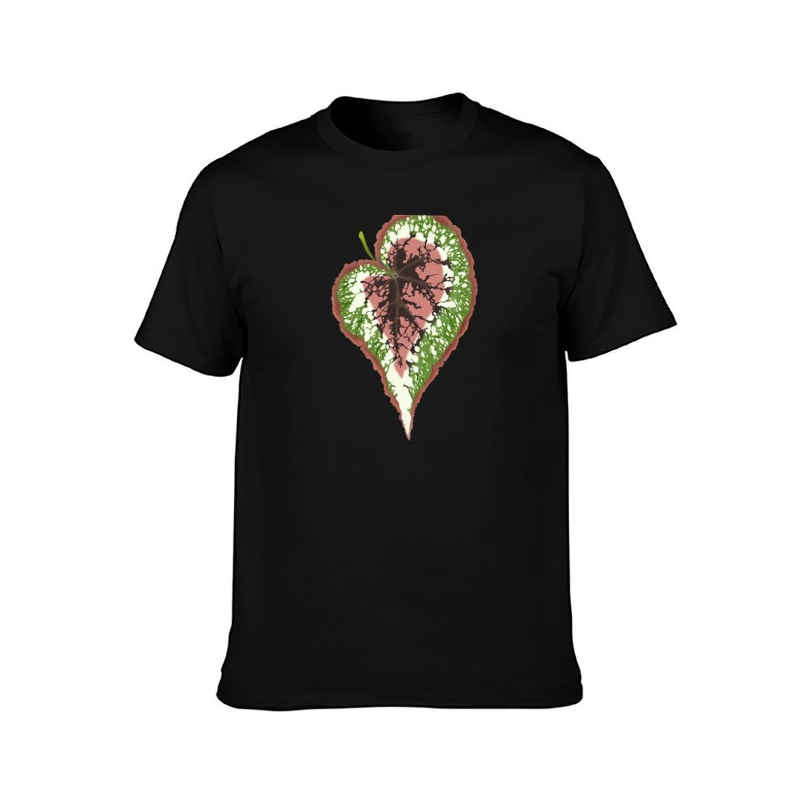 Begonia Rex T-Shirt Basic Simp - đánh giá và giá Begonia Rex