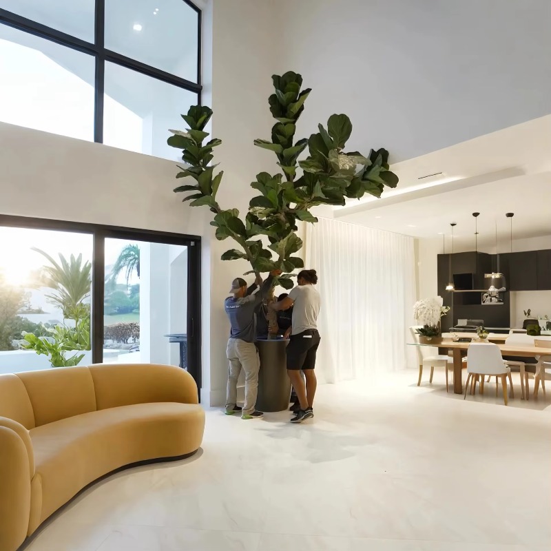 Artificial Plants Indoor Potte - đánh giá và giá Ficus Lyrata Tree