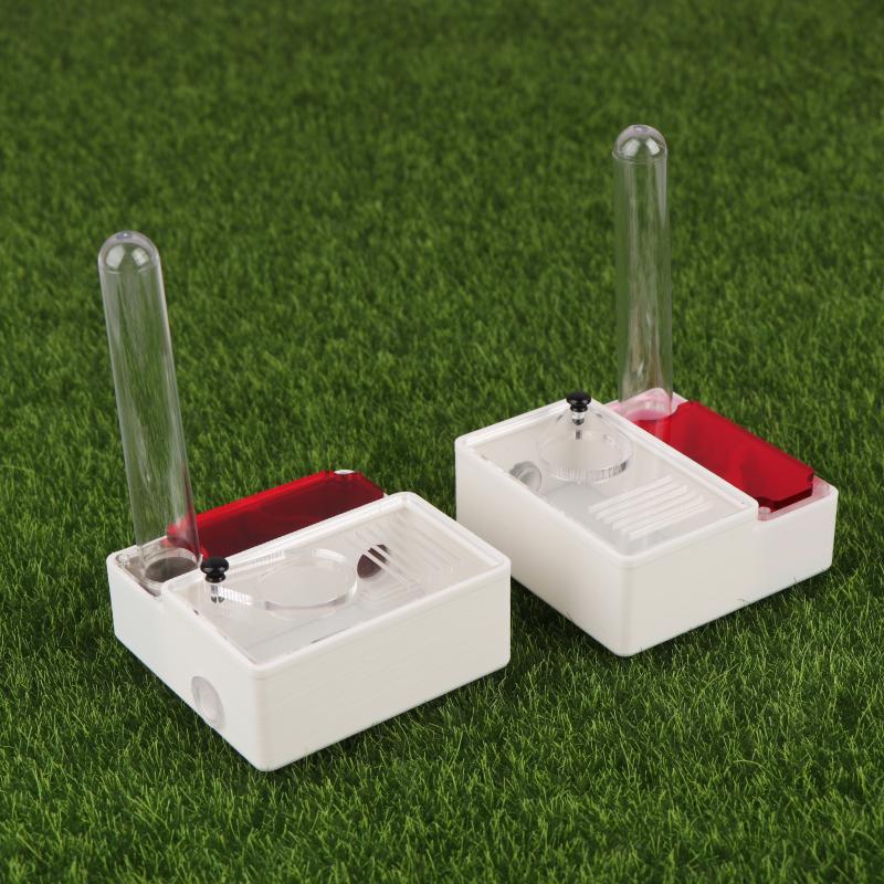 1Pcs Ant Farm Queen Ant's Nest - đánh giá và giá Begonia Rex