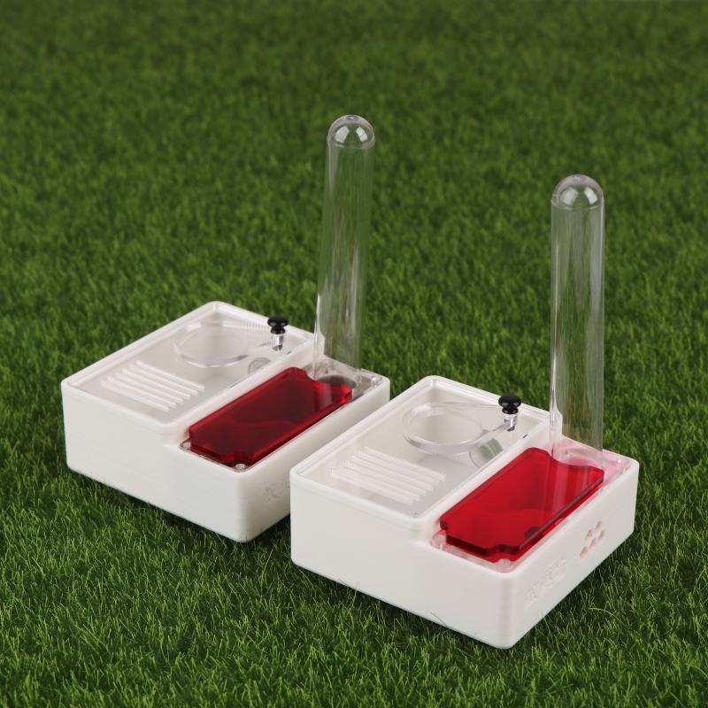 1Pcs Ant Farm Queen Ant's Nest - đánh giá và giá Begonia Rex