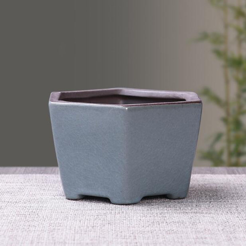Retro Gốm Hoa Măng Tây Thực Vậ - đánh giá và giá Echeveria Succulent