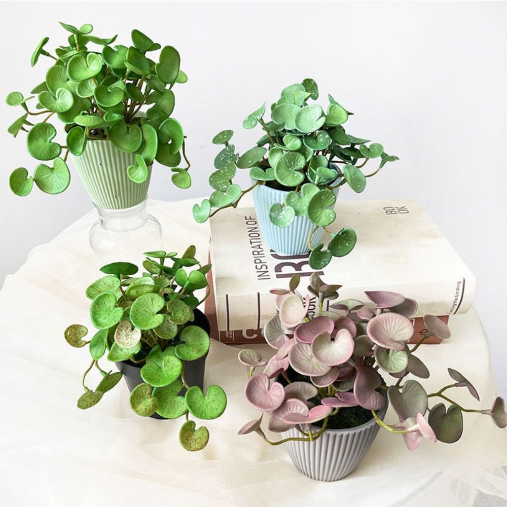 Soft Glue Artificial Plant EVA - đánh giá và giá Echeveria Succulent