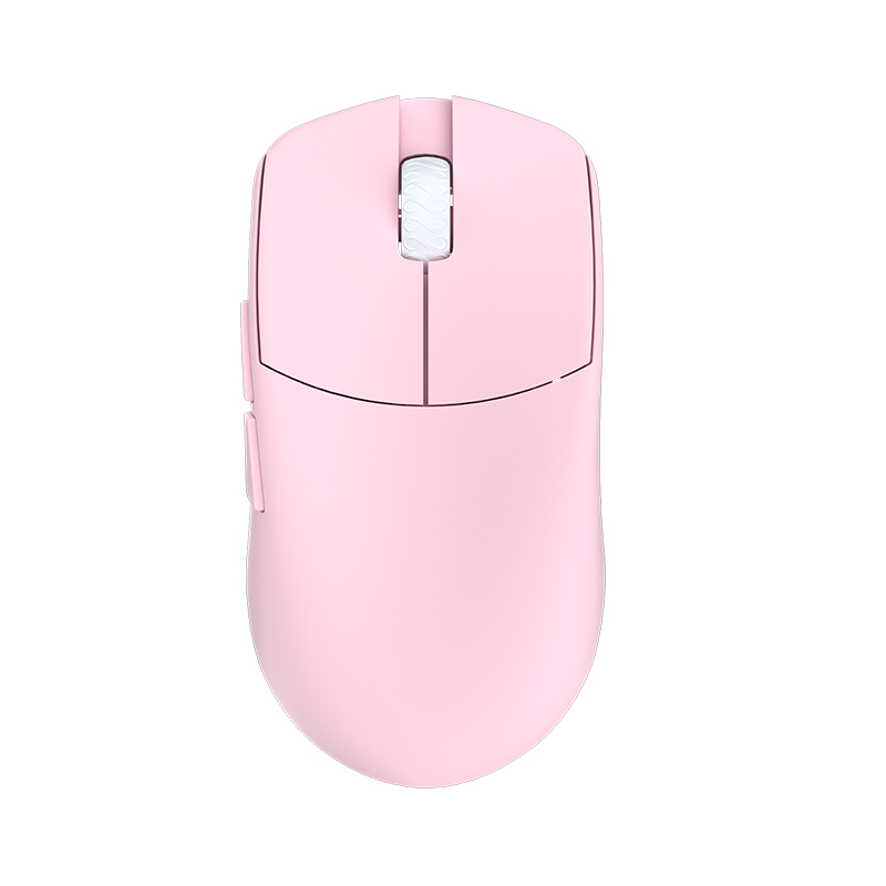LAMZU MAYA Champion Edition Ga - đánh giá và giá Tradescantia Purple