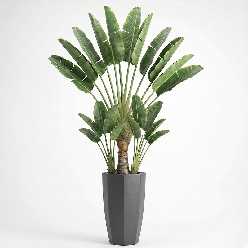 High-Simulation Plastic Fiddle - đánh giá và giá Ficus Lyrata Tree