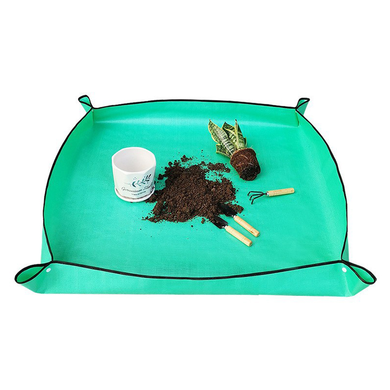 Plant Repotting Mat Waterproof - đánh giá và giá Echeveria Succulent