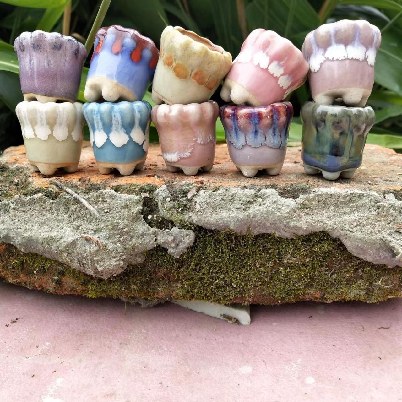 10Pcs Mini Ceramics Fowerpot M - đánh giá và giá Echeveria Succulent