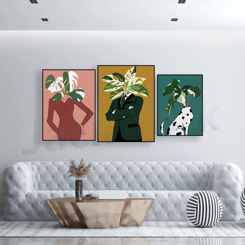 Monstera Albo in a burgundy dr - đánh giá và giá Monstera Adansonii