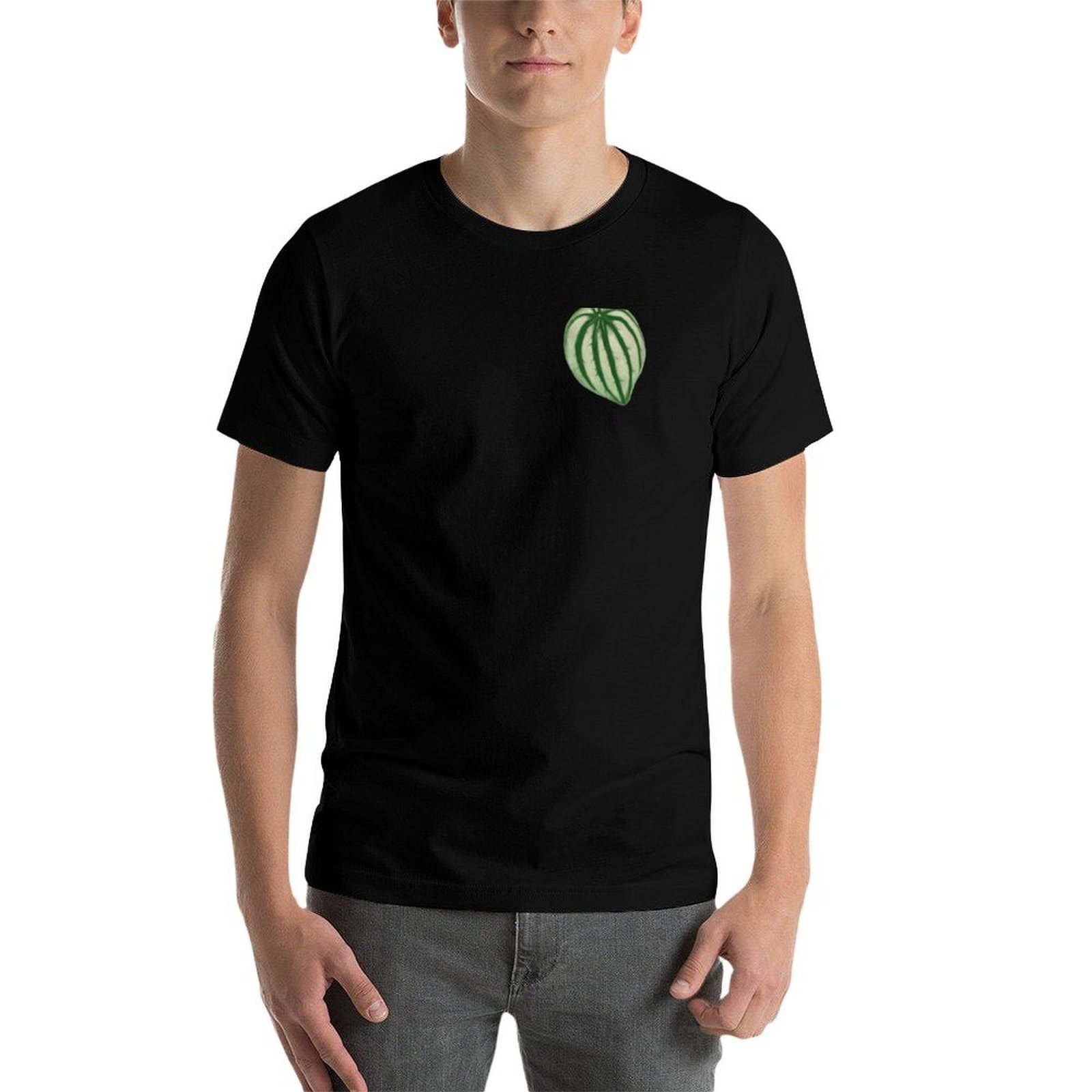 Watermelon Peperomia T-Shirt D - đánh giá và giá Peperomia Watermelon