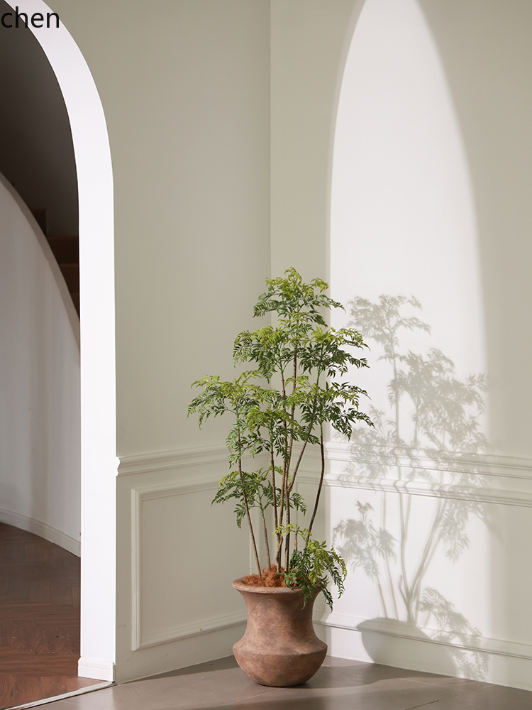 LYY  Floor Vase Green Plant Ar - đánh giá và giá Ficus Lyrata Tree