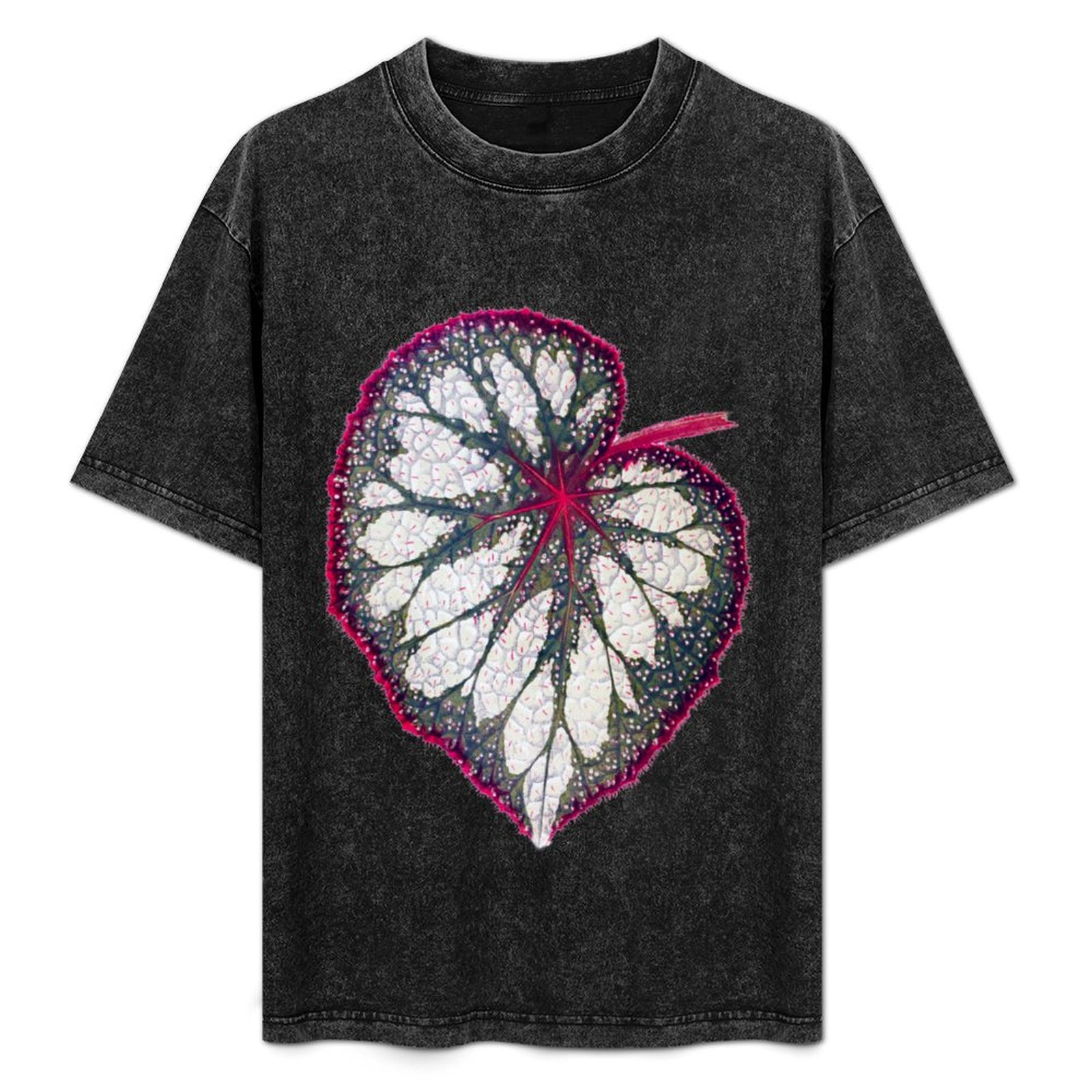 Begonia rex T-Shirt Holiday Si - đánh giá và giá Begonia Rex