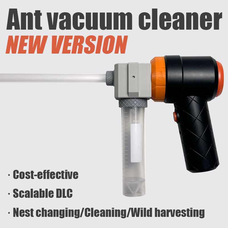 Ant Farm Collection Tool Ants  - đánh giá và giá Begonia Rex