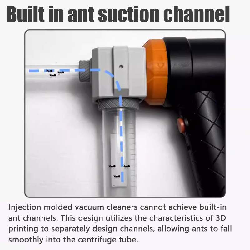 Ant Farm Collection Tool Ants  - đánh giá và giá Begonia Rex