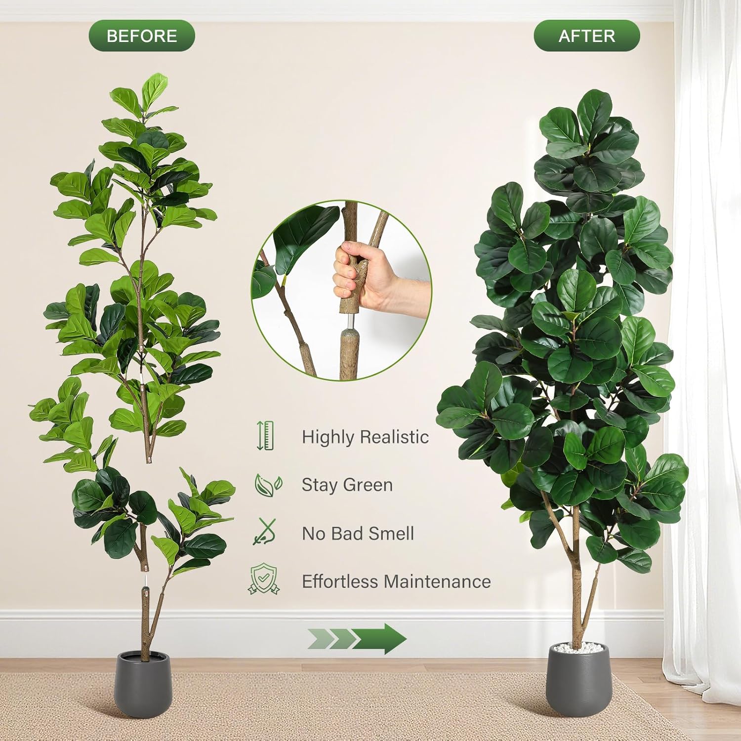 4FT/5FT/6FT/7FT Fiddle Leaf Fi - đánh giá và giá Ficus Lyrata Tree