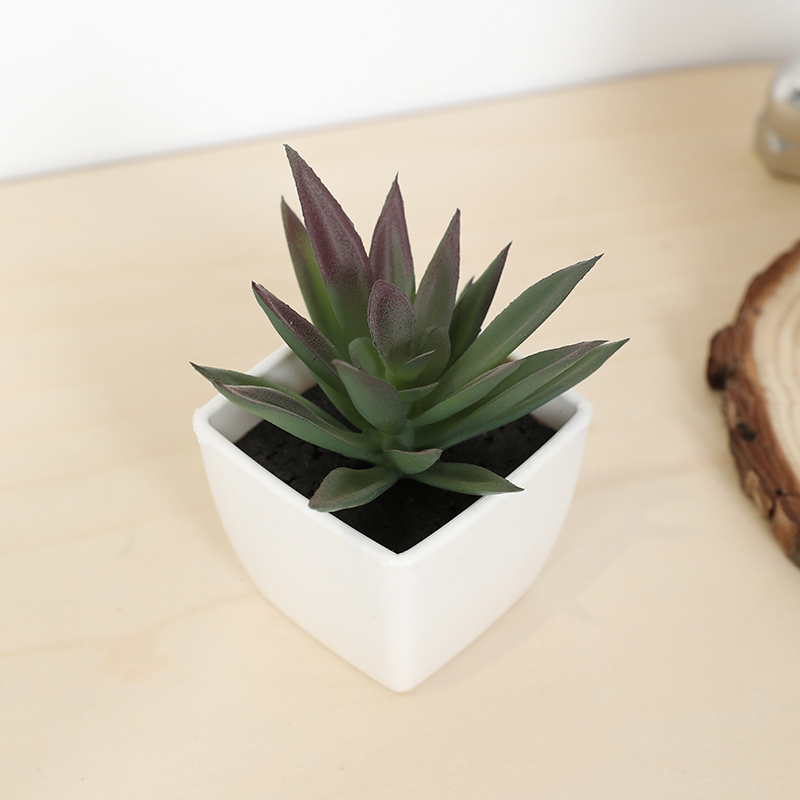 Mini Artificial Succulent Fair - đánh giá và giá Echeveria Succulent