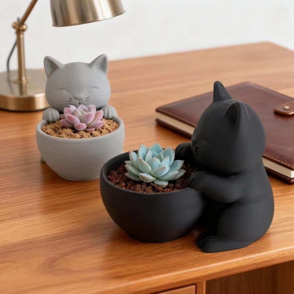 Mini Small Flowerpot with Drai - đánh giá và giá Echeveria Succulent