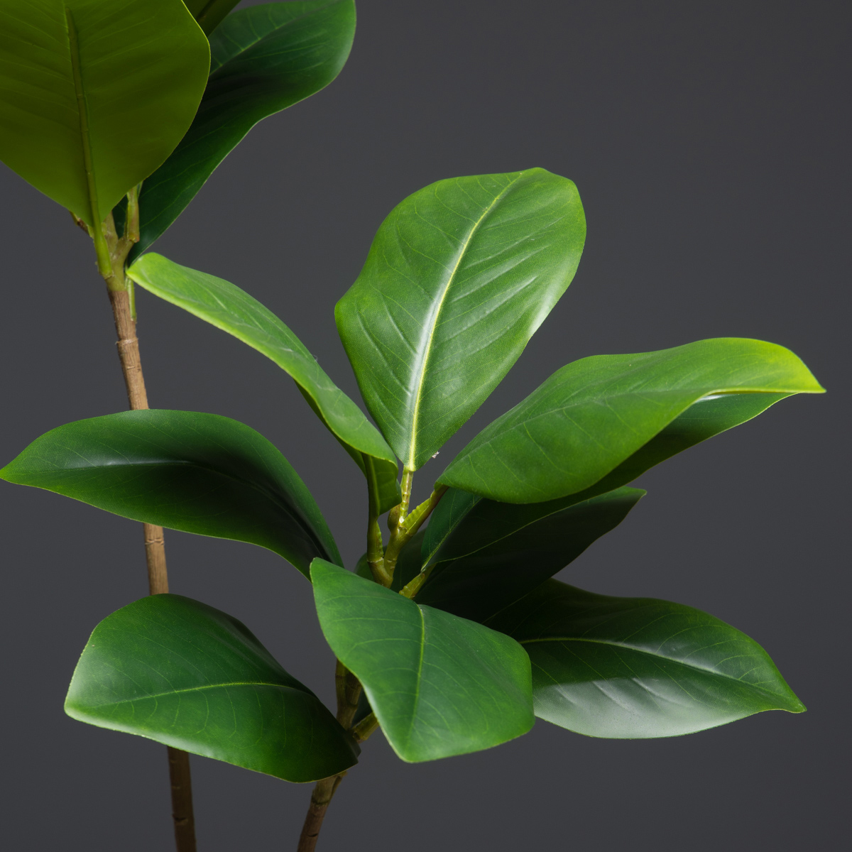 105cm 2 Forks Large Artificial - đánh giá và giá Dracaena Marginata