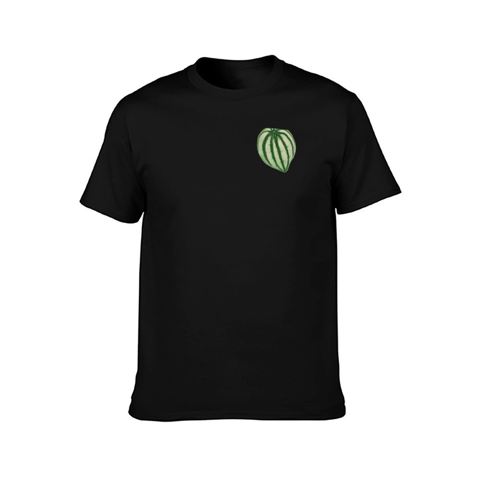 Watermelon Peperomia T-Shirt C - đánh giá và giá Peperomia Watermelon